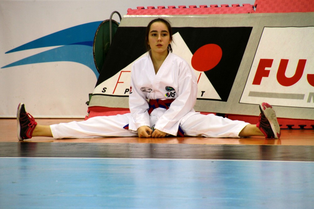 Taekwondo Dic 2016 (202).jpg